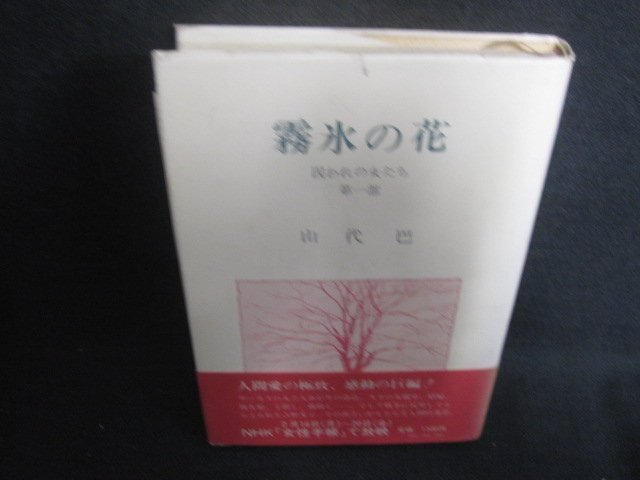 霧氷の花　山代巴文庫1　シミ日焼け強/FDI