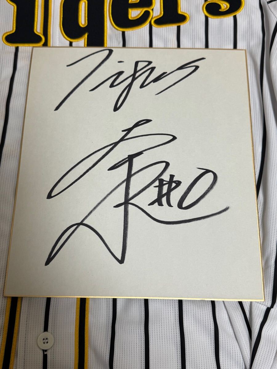 阪神タイガース 森下翔太 選手 直筆サイン色紙(サイン)|売買 阪神タイガース 森下翔太 選手 直筆サイン色紙(サイン)|売買