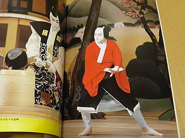  kabuki. 100 позиций цветок форма kabuki PART2 пьеса .6 месяц экстренный больше . специальный номер эпоха Heisei 4 год выпуск RE1