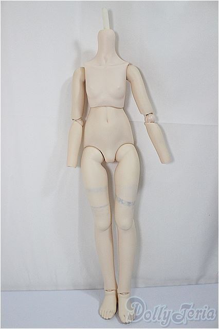 新しいスタイル MDD/ベースボディ もちあし S胸 A-24-05-15-255 新しいスタイル MDD/ベースボディ もちあし S胸 A-24-05-15-255
