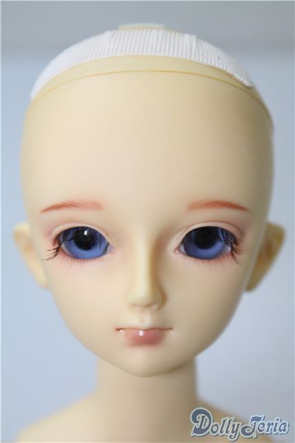 信頼も厚い SDC/蓮ヘッド&MSD女の子ボディ U-24-12-24-198-KD-ZU 本体
