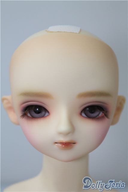 日本全国送料無料商品 特集 SD女の子/ビアンカ U-24-12-31-219-TN-ZU 本体