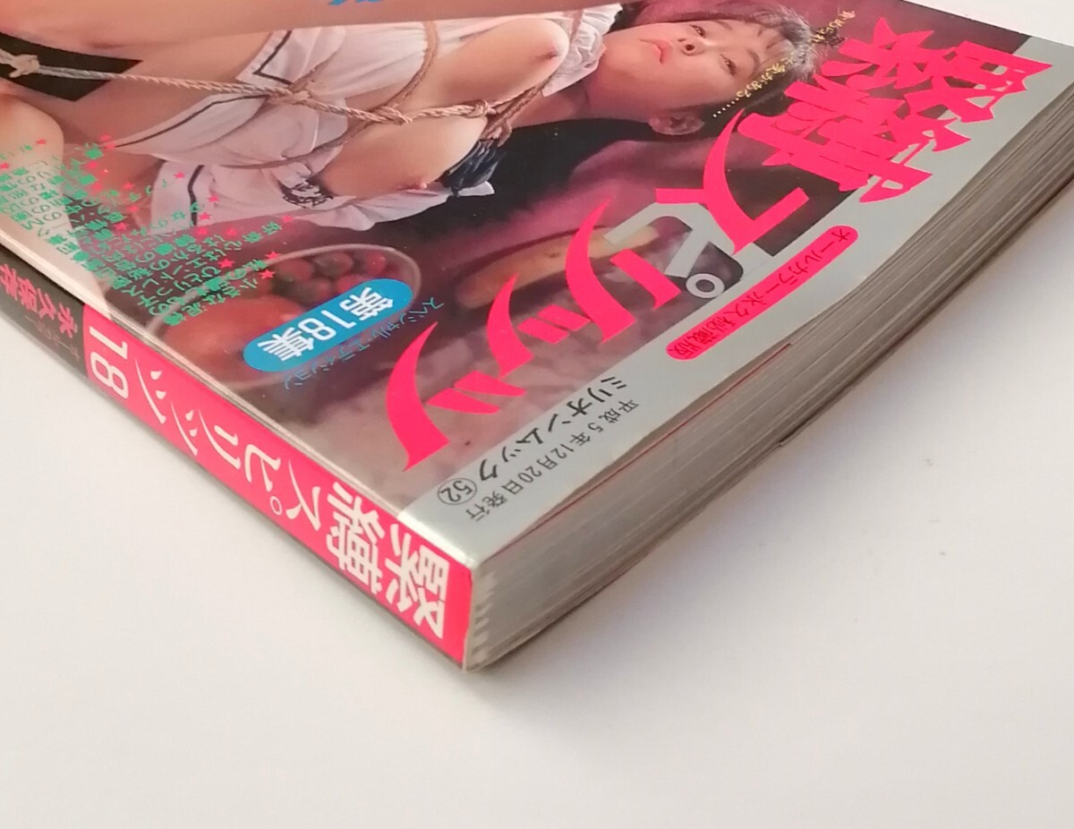 【オールカラー】緊縛スピリッツ18 美樹あ ゆみ 美咲舞 小泉しおり 立花未沙 秋川典子 斉藤はるか 五月純 桂木綾乃 SM 緊縛 WOY1 (R1)