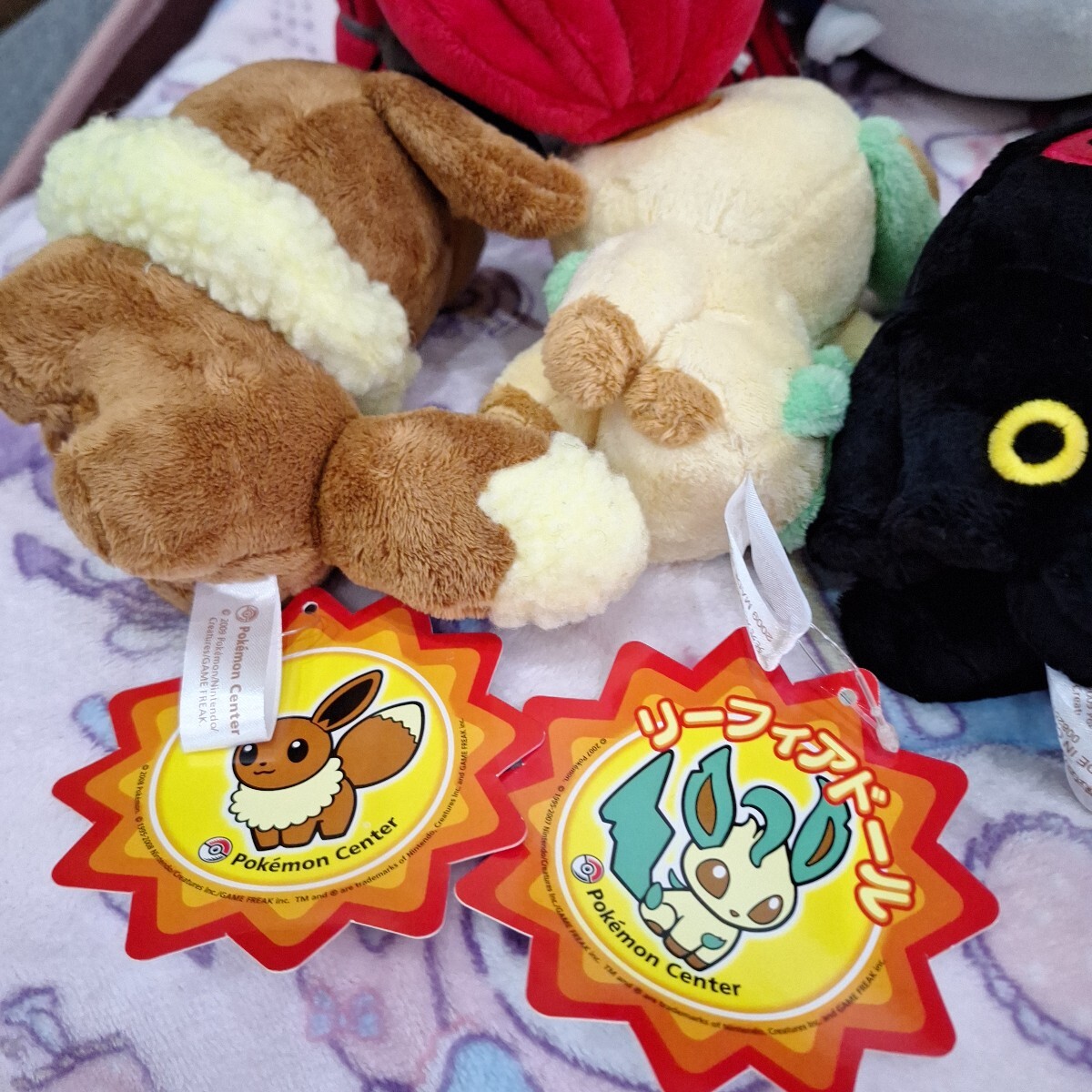ポケモンセンター 等身大 ブイズ コンプリート ぬいぐるみ ポケモンセンター 等身大 ブイズ コンプリート ぬいぐるみ