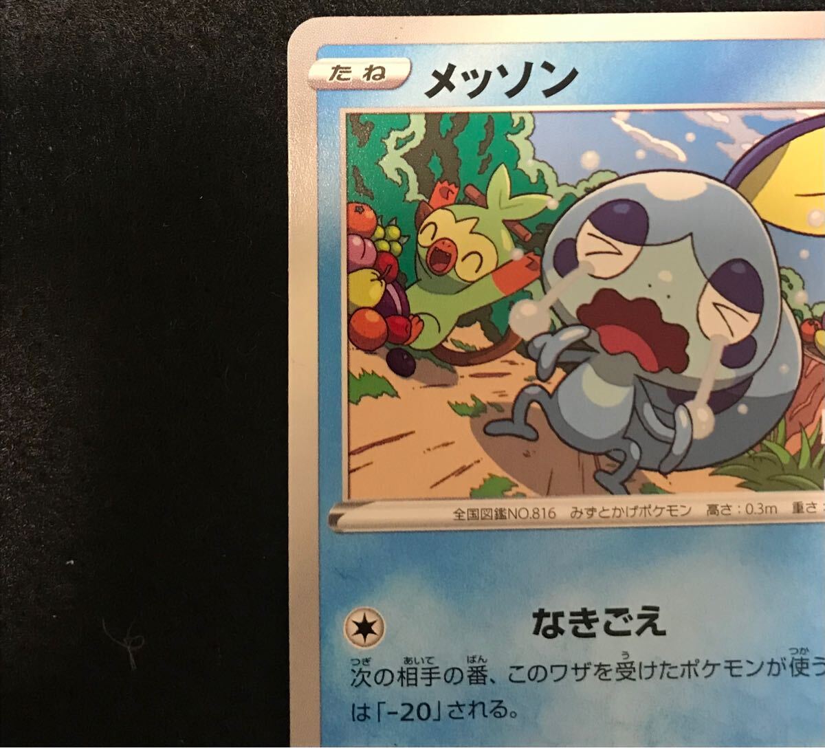 メッソン 008/S-P ポケモンカードステーション ポケモンカード メッソン プロモ 008/S-P ステーション Sobble