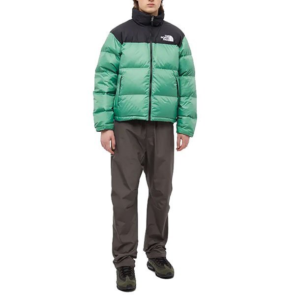 THE NORTH FACE (ザ ノースフェイス) US ダウンジャケット 1996 NUPTSE JACKET Deep Grass Green グリーン (NF0A3C8D) (M)