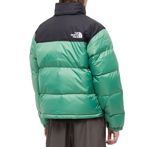 THE NORTH FACE (ザ ノースフェイス) US ダウンジャケット 1996 NUPTSE JACKET Deep Grass Green グリーン (NF0A3C8D) (L)