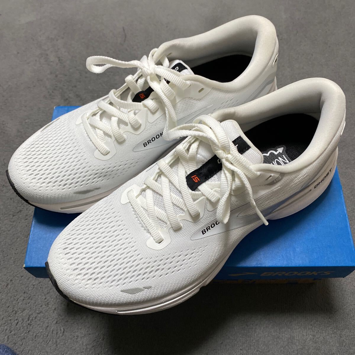 走行14km ブルックス ゴースト15 26.5cm
