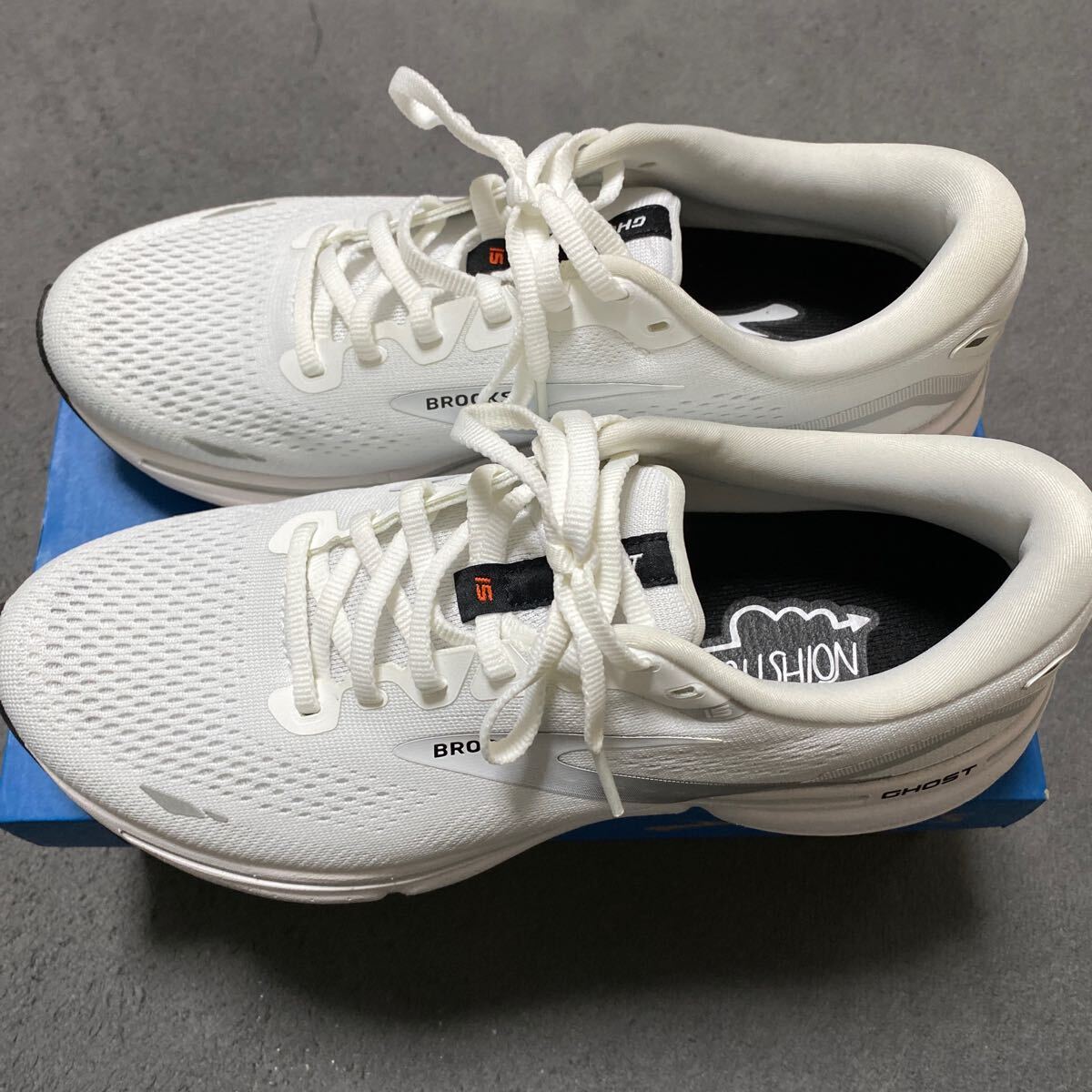 走行14km ブルックス ゴースト15 26.5cm