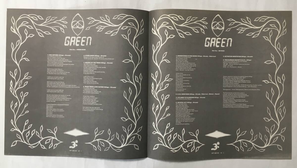 STEVE HILLAGE GREEN　GONG_画像3