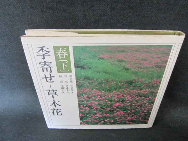季寄せー草木花　春（下）　シミ有/EFZE