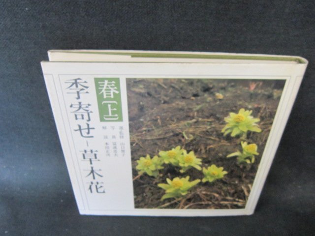 季寄せー草木花　春（上）　シミ有/EFZE