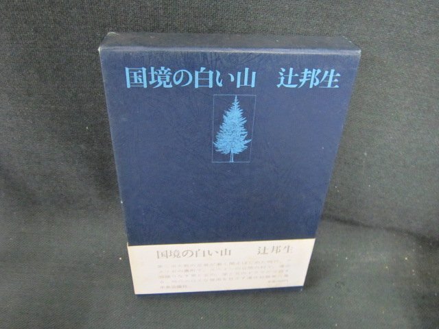 国境の白い山　辻邦生/FCE