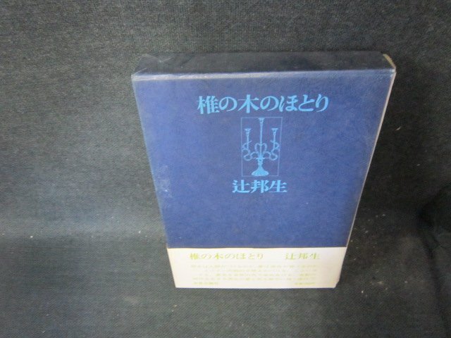 椎の木のほとり　辻邦生　中央公論社　シミ有/FCZG