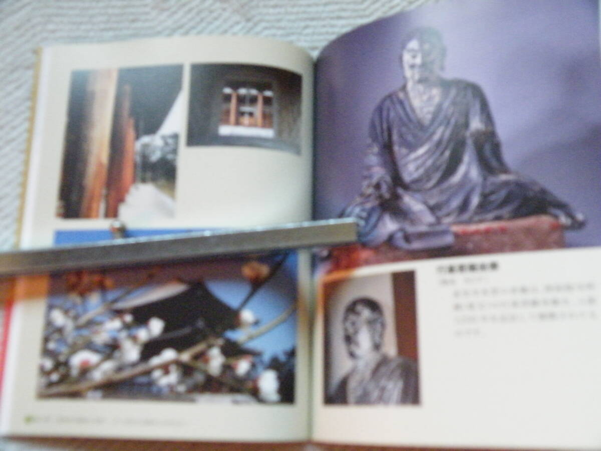 ■行基習焉の古刹「喜光寺」　帯あり_画像5