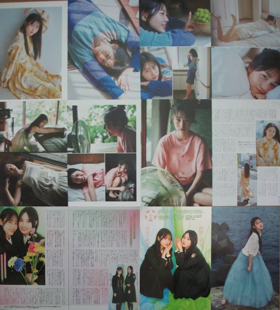 向井純葉 切り抜き 40ページ　アイドル　インタビュー 制服 学生服グラビアなど　櫻坂46_画像2