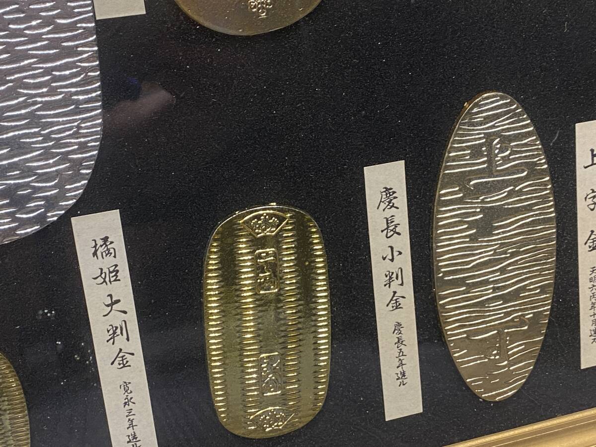 貴重な小判標本