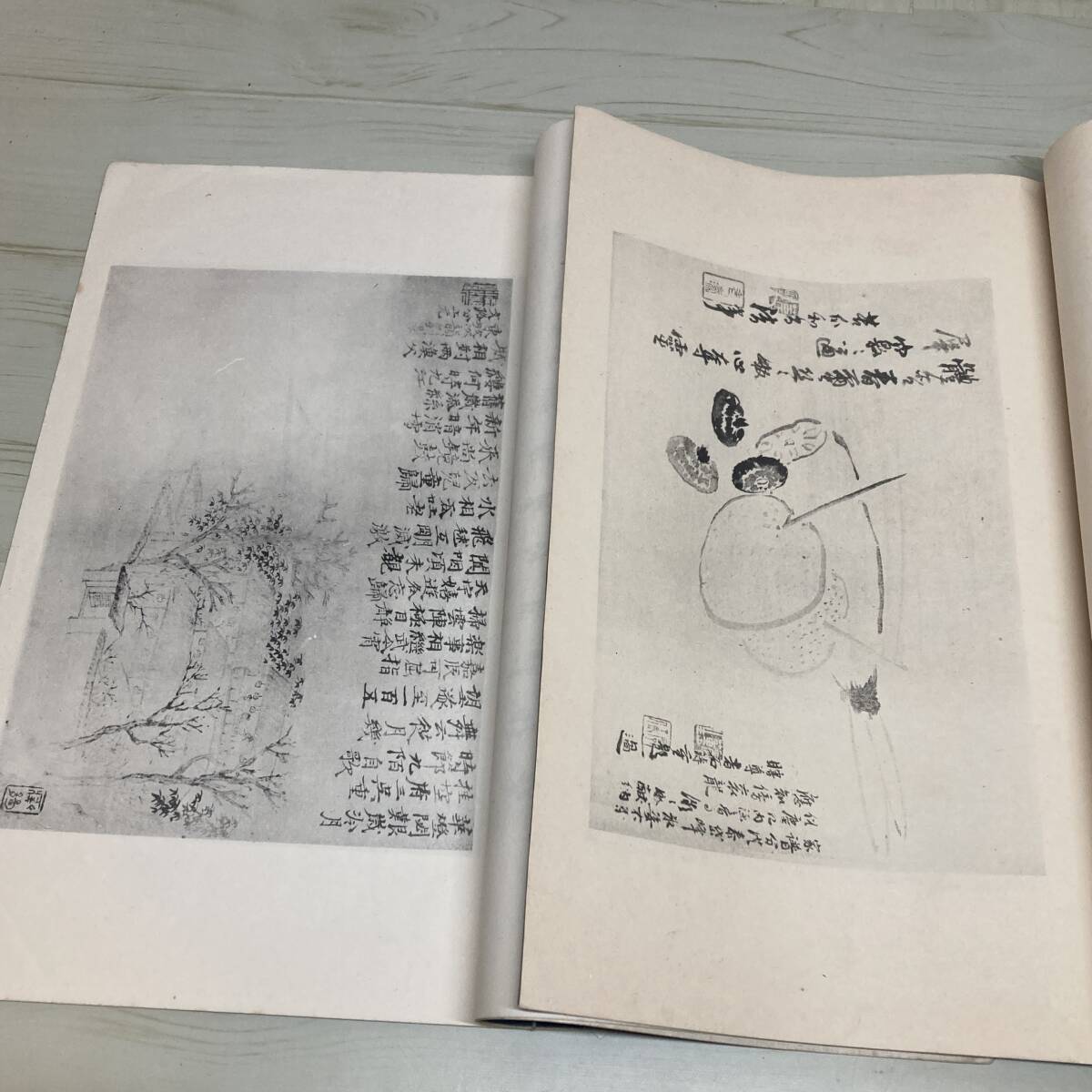 新素材新作 Yahoo!オークション - 石濤和尚花果冊 石濤畫東坡時序詩冊 3冊 和書