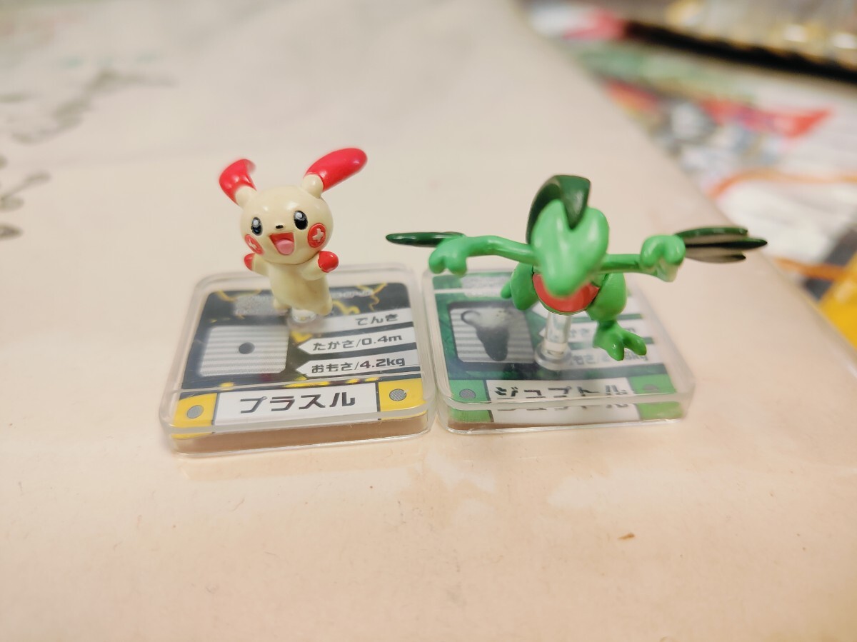 ポケモン フルカラーアドバンス 2体 セット