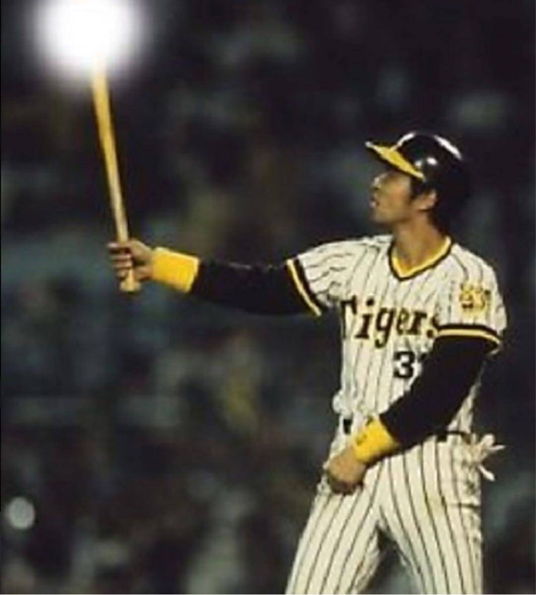 送料無料 即決 阪神タイガース 掛布雅之選手ユニフォーム 1979 送料無料 即決 阪神タイガース 掛布雅之選手ユニフォーム 1979
