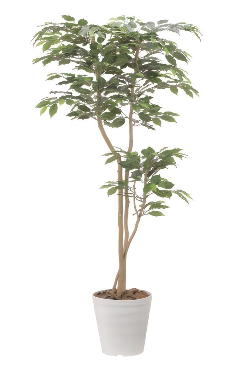 光触媒 人工観葉植物 ウォールグリーン フェイクグリーン ベンジャミン1.6 光触媒 人工観葉植物 ウォールグリーン フェイクグリーン