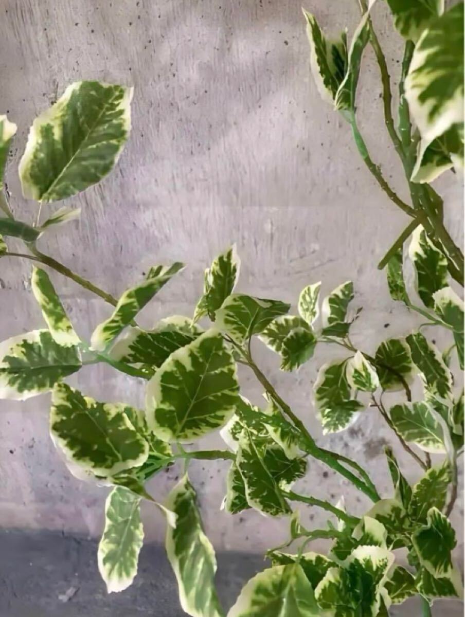 光觸媒　人工観葉植物　ウォールグリーン　フェイクグリーン　スピンドル花器付