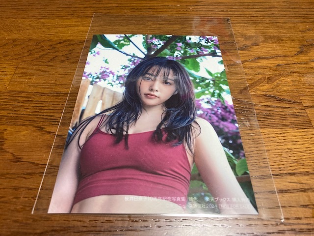 桜井日奈子10周年記念写真集☆初版☆生写真付(楽天ブックス)「帯