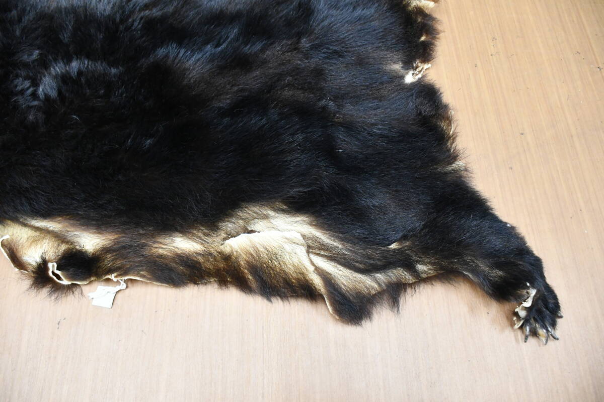 中古】熊の毛皮 ラグ・敷物・マット・カーペット・絨毯・剥製 中古】熊の毛皮 ラグ・敷物・マット・カーペット・絨毯・剥製