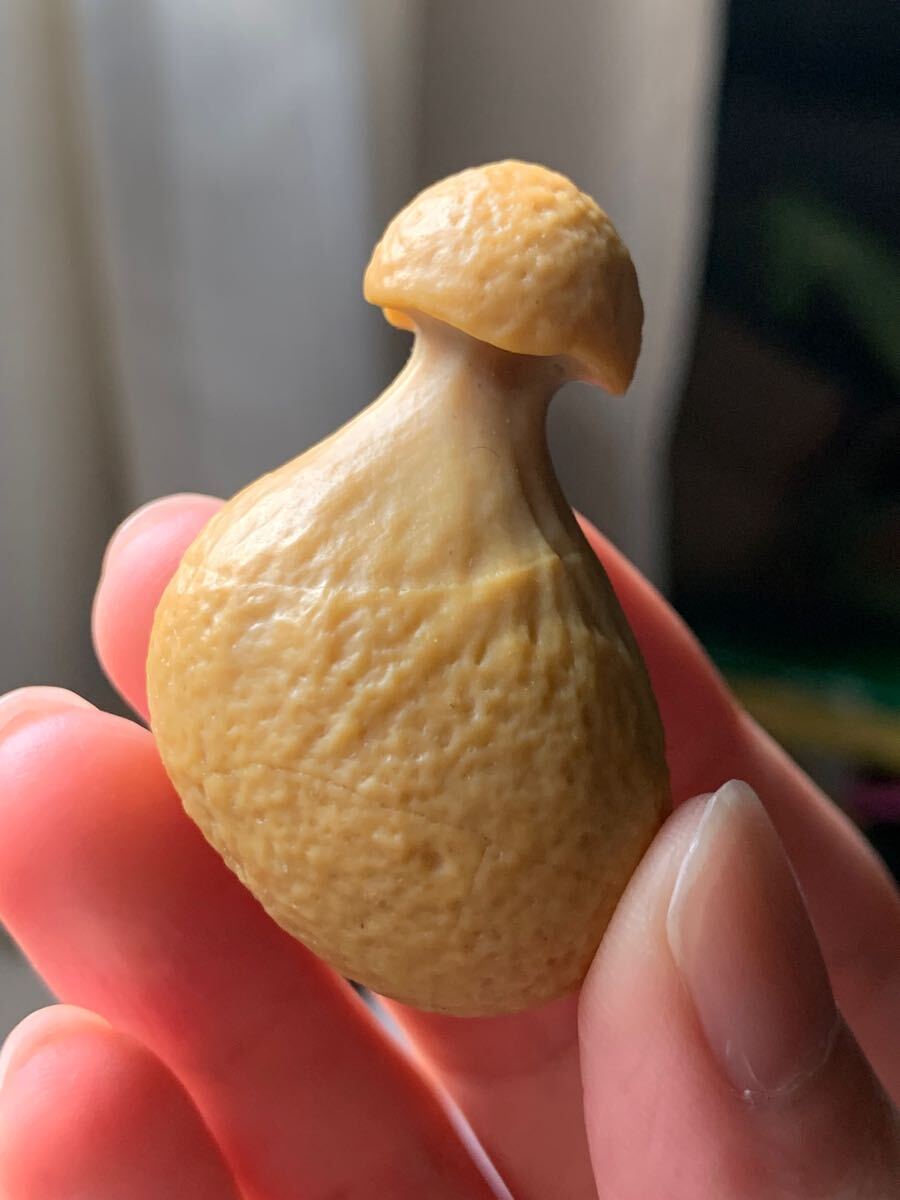 アラシャンゴビアゲート　ゴビ瑪瑙　蒙古瑪瑙　チベット　天珠天眼原石翡翠オパールパワーストーンアイアゲートルチル根付鉱物標本化石1_画像1