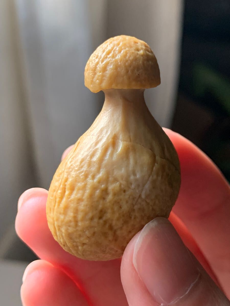 アラシャンゴビアゲート　ゴビ瑪瑙　蒙古瑪瑙　チベット　天珠天眼原石翡翠オパールパワーストーンアイアゲートルチル根付鉱物標本化石1_画像3