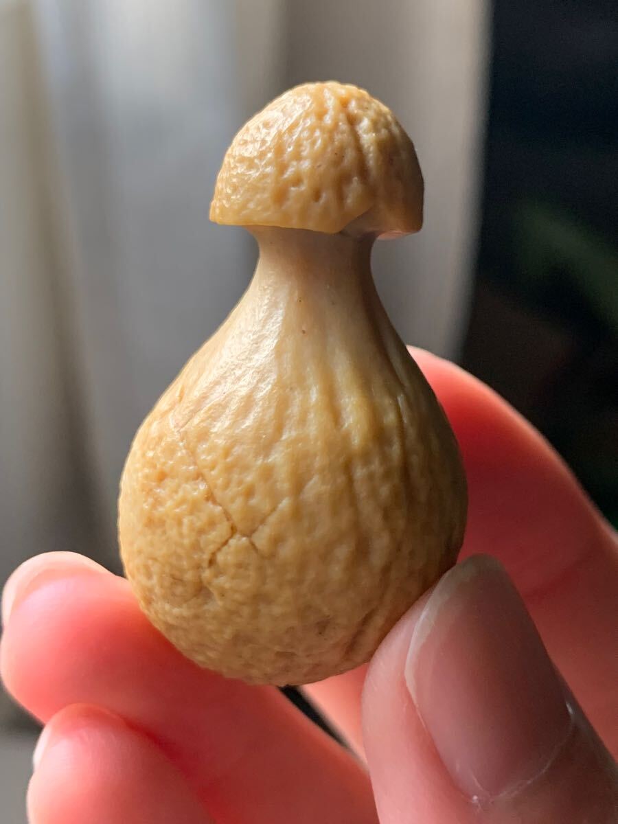 アラシャンゴビアゲート　ゴビ瑪瑙　蒙古瑪瑙　チベット　天珠天眼原石翡翠オパールパワーストーンアイアゲートルチル根付鉱物標本化石1_画像5