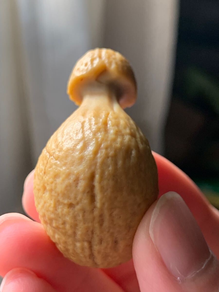 アラシャンゴビアゲート　ゴビ瑪瑙　蒙古瑪瑙　チベット　天珠天眼原石翡翠オパールパワーストーンアイアゲートルチル根付鉱物標本化石1_画像6