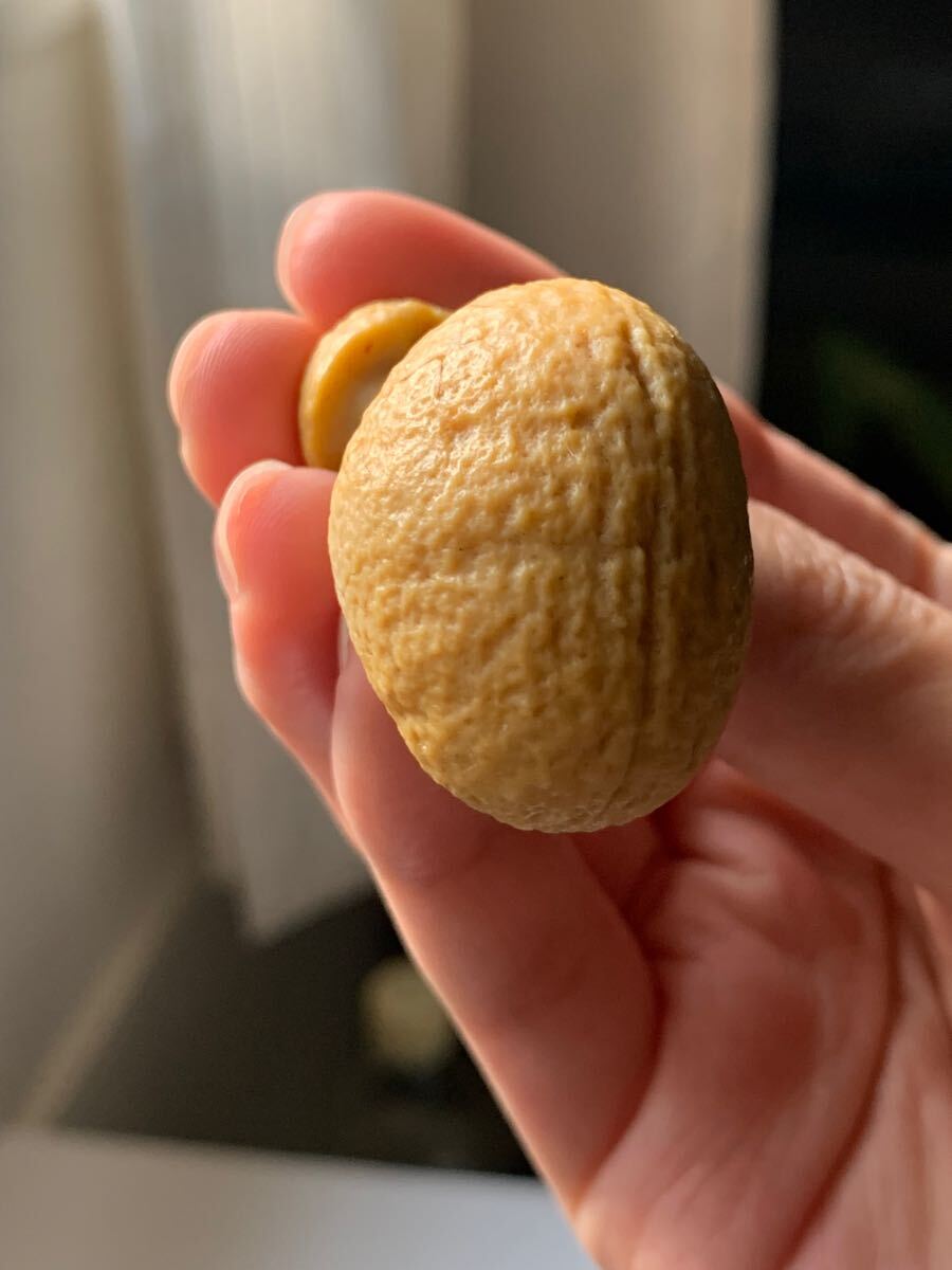 アラシャンゴビアゲート　ゴビ瑪瑙　蒙古瑪瑙　チベット　天珠天眼原石翡翠オパールパワーストーンアイアゲートルチル根付鉱物標本化石1_画像8