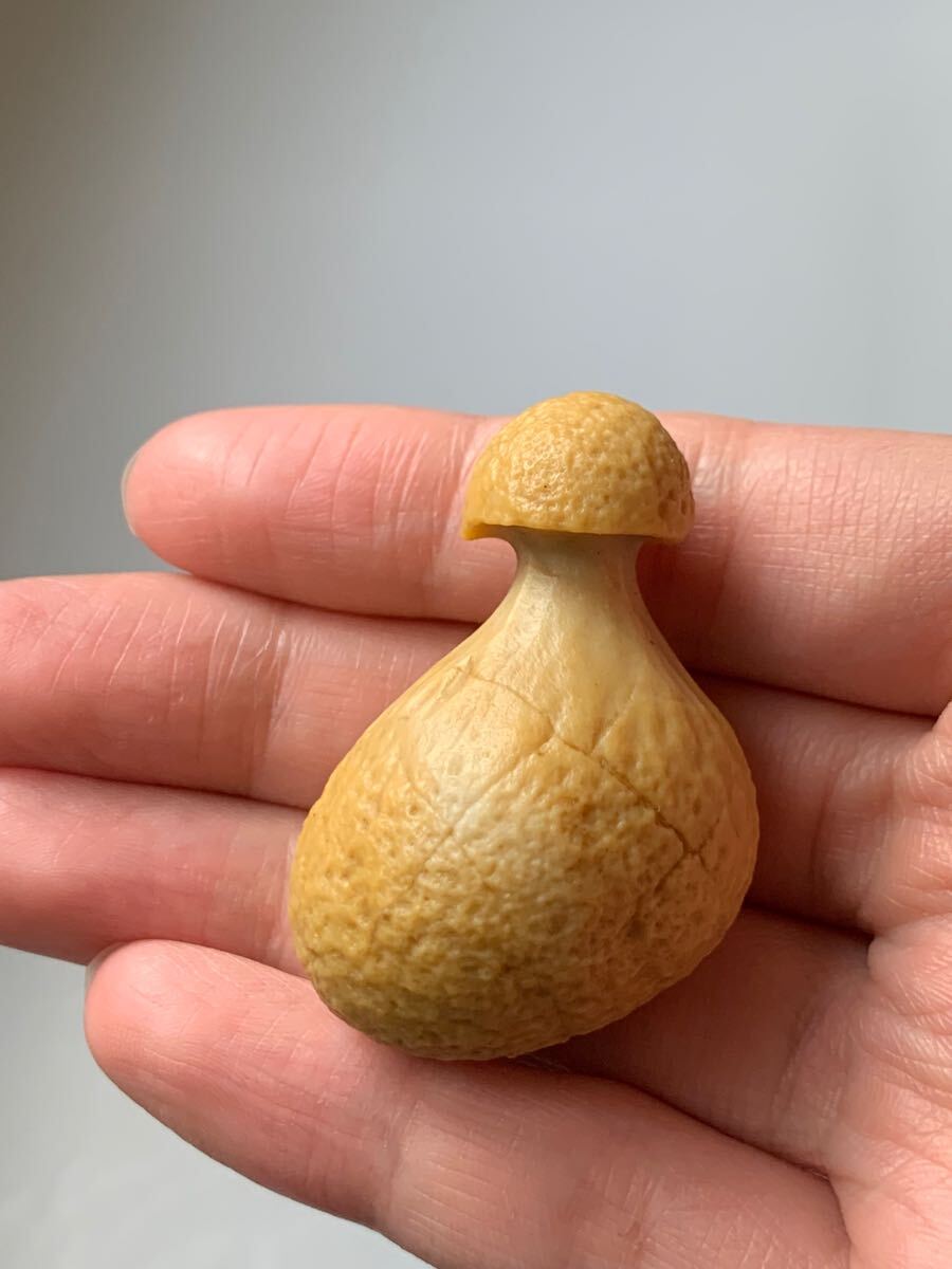 アラシャンゴビアゲート　ゴビ瑪瑙　蒙古瑪瑙　チベット　天珠天眼原石翡翠オパールパワーストーンアイアゲートルチル根付鉱物標本化石1_画像9