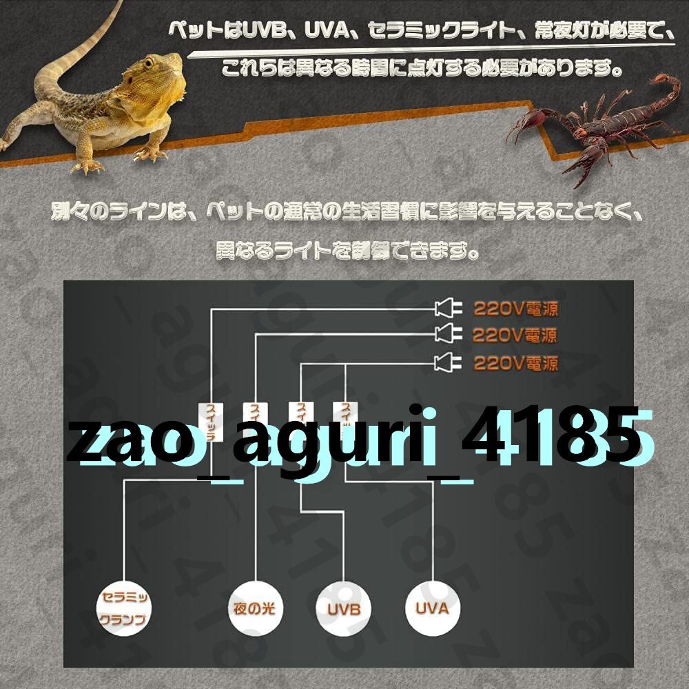 爬蟲類ケージ 両生類生息地 居心地の良い 両開きドア 120X55X55CM パノラマ 爬蟲類 OSB 通気性が良いの給餌ボックス