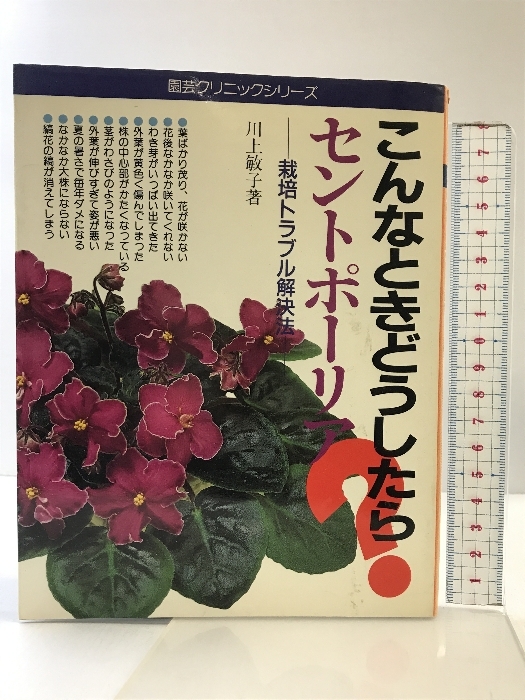 こんなときどうしたら？セントポーリア 主婦の友社 川上 敏子