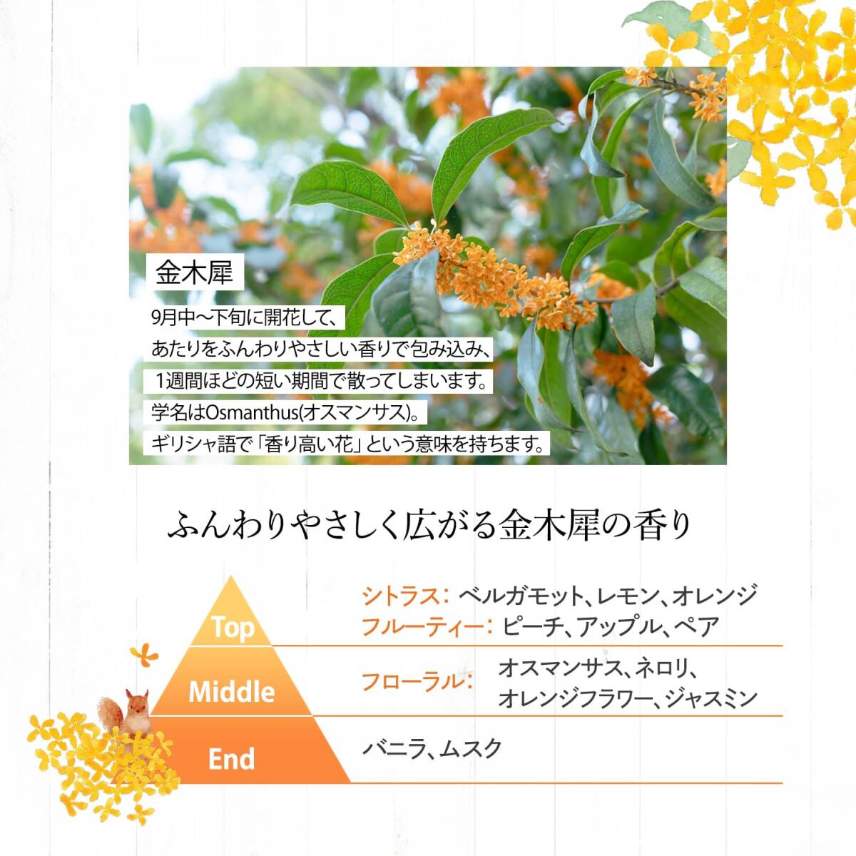 【まとめ買い】ソフティモ　ナチュサボンセレクト　ホワイト　ボディウォッシュ　リッチモイスト　金木犀の香り_画像7