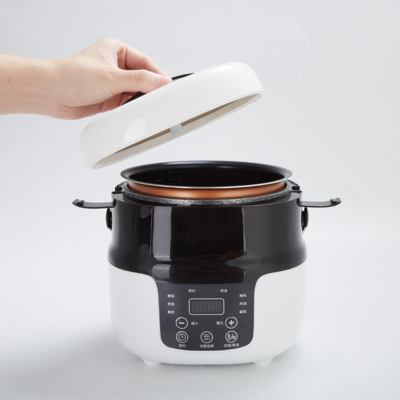  人気車電気炊飯器12V/24V専用 直流炊飯器タケルくん DC12V/24V専用2リットル24Vトラック12V多機(jī)能調(diào)理粥スープ自動運(yùn)転車用デュアルユース