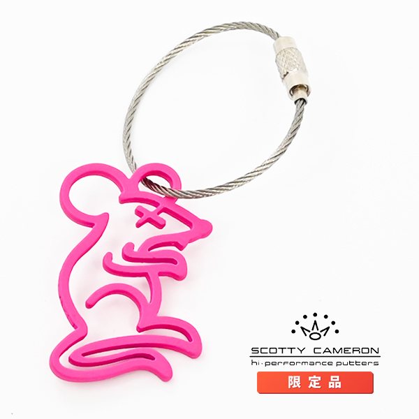 専用出品ページ2 ZXII ゼクロス2プロテクター 67mm ZX2PT67S ケンコー・トキナー