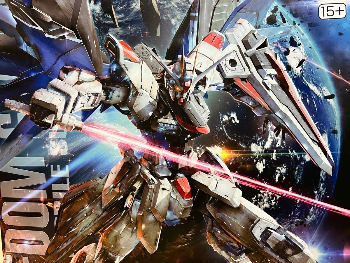MG フリーダムガンダム Ver2.0 機動戦士ガンダムSEED ガンプラ 1/100