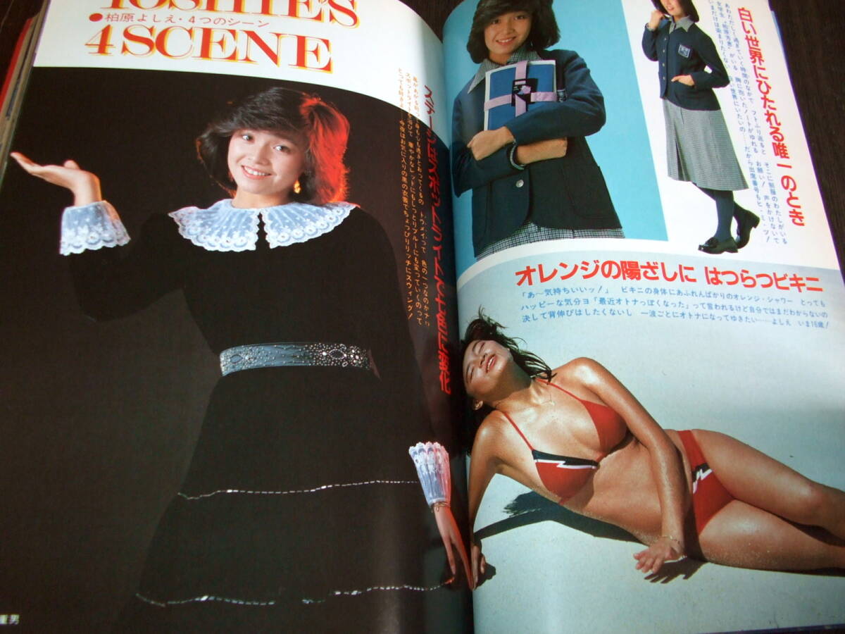 近代映画1982年4月号◇河合奈保子/松田聖子/柏原芳恵/小泉今日子/西城秀樹&松本伊代/北原佐和子/新井薫子水着(映画)|売買されたオークション情報、Yahoo!オークション(旧ヤフオク!) の商品情報をアーカイブ公開 - オークファン(aucfan.com) 近代映画1982年4月号◇河合奈保子/松田聖子/柏原芳恵/小泉今日子/西城秀樹&松本伊代/北原佐和子/新井薫子水着(映画)|売買されたオークション情報、Yahoo!オークション(旧ヤフオク!) の商品情報をアーカイブ公開 - オークファン(aucfan.com)