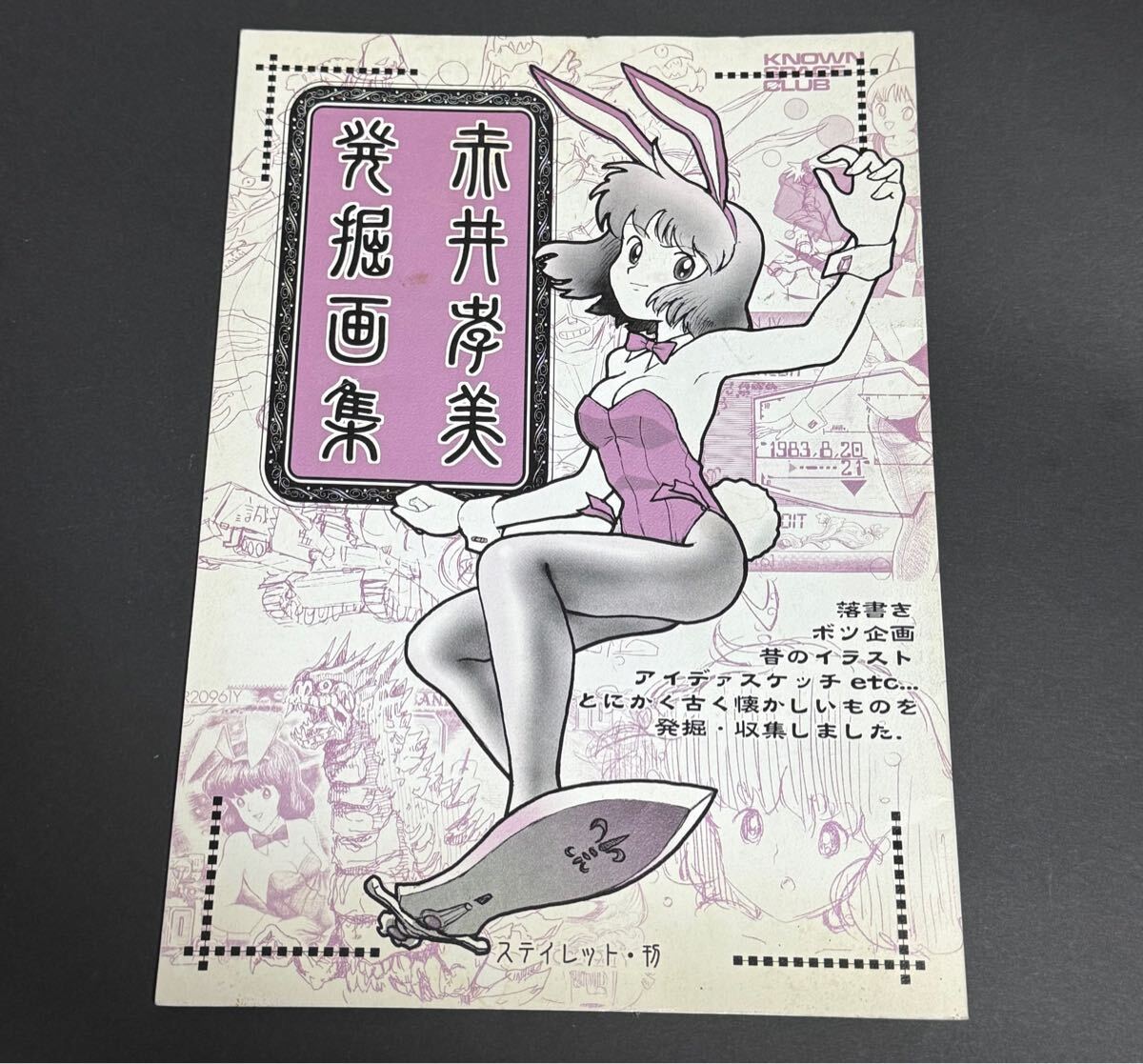 赤井秀美発掘画集 DAICON ステイレット　同人誌　設定資料集　原画集　漫画