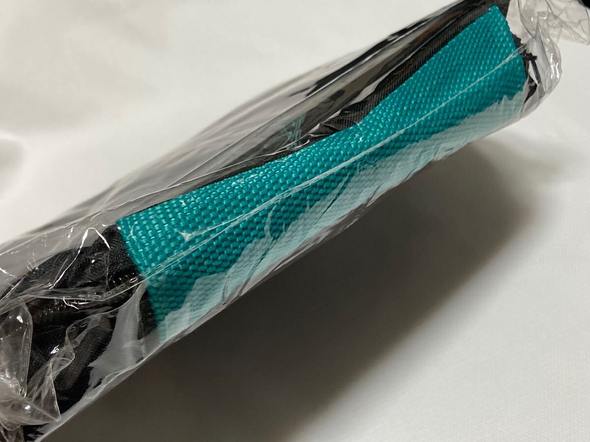 SHINee WORLD J限定　TAEMIN ARENA TOUR 2019 トラベルポーチ　(未使用) 