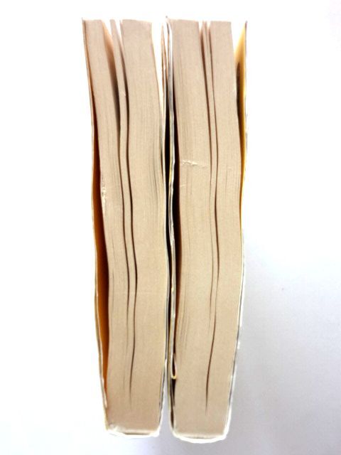 teka дыня сверху * внизу /bokacho река остров Британия .* перевод .. фирма литературное искусство библиотека / стоимость доставки 310 иен 