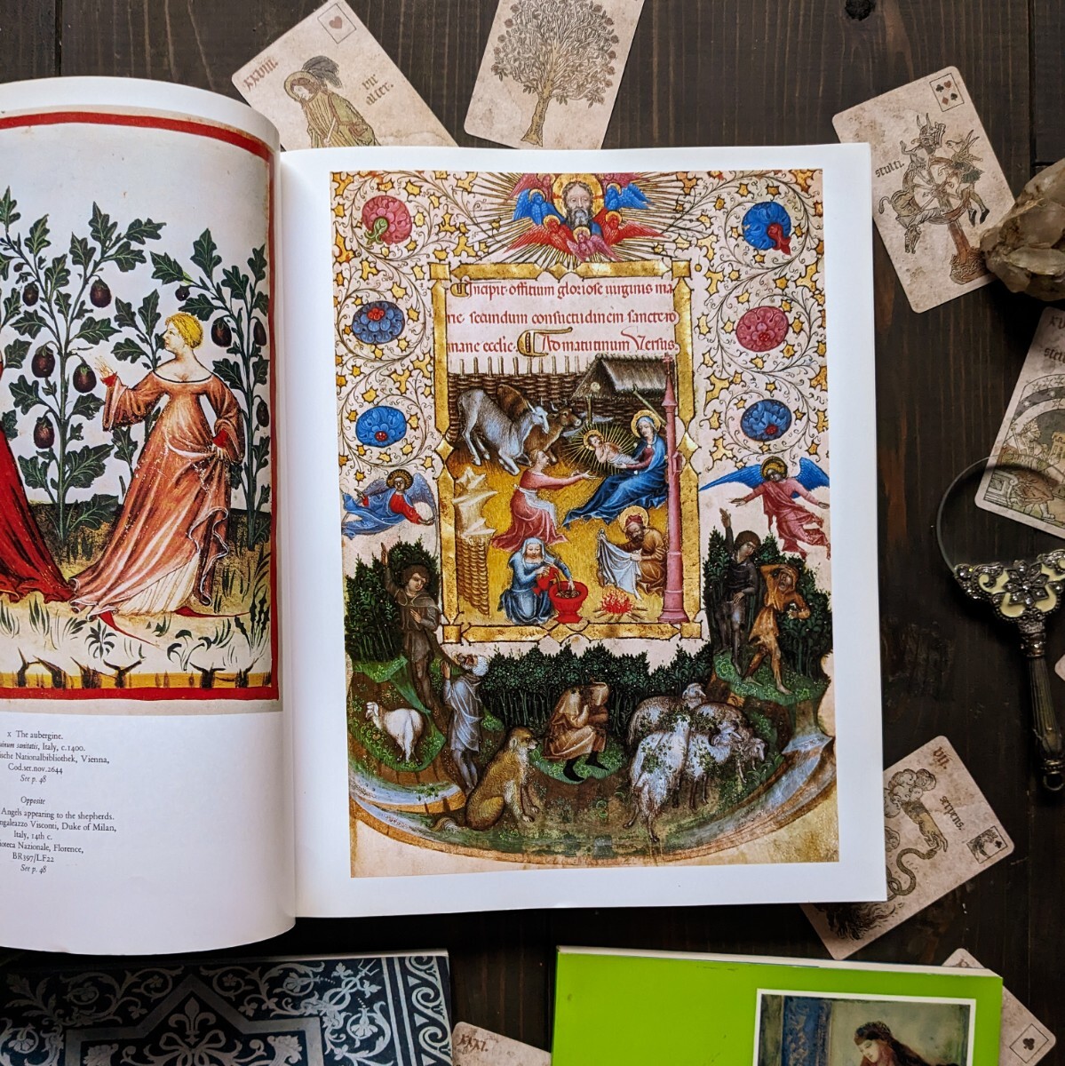 挿絵の歴史書や絵画集などのヴィンテージ本３冊セット♪　古書