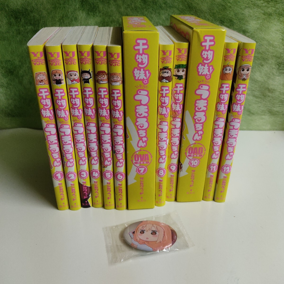干物妹！うまるちゃん 1～12巻セット 限定版含む