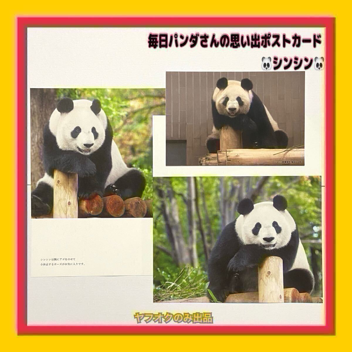 シンシン ★毎日パンダさんの思い出ポストカード 1/100 松坂屋上野店 非売品 数量限定 ノベルティ ★書籍 切り抜き／リーリー シャンシャン