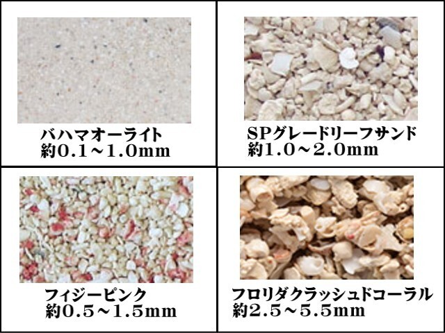 カリブシー 底砂 アラガライブ バハマオーライト 9kg 2袋セット　海水魚用（1袋4720円）管理120