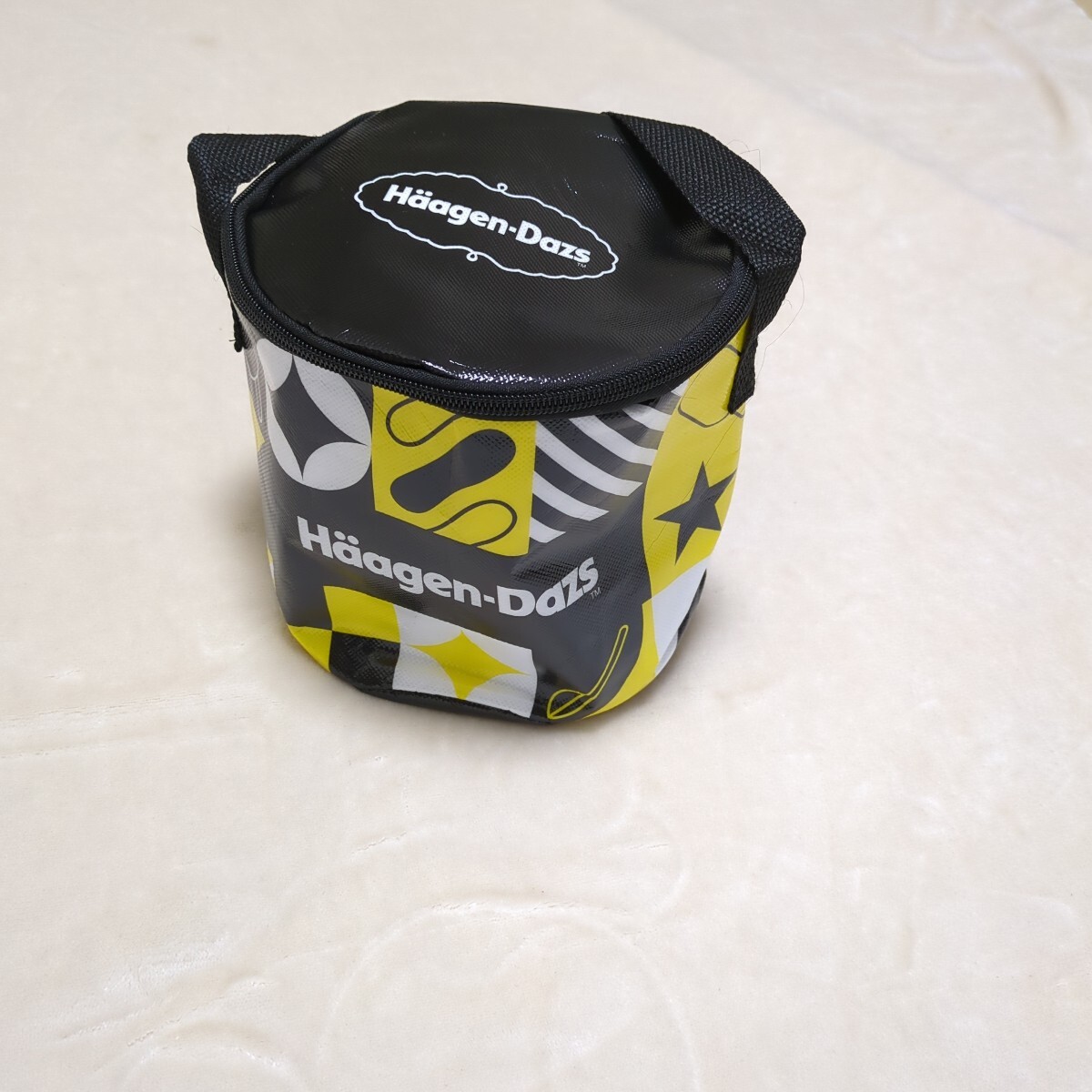 ハーゲンダッツ/保冷バック/ミニサイズ/used品_画像1