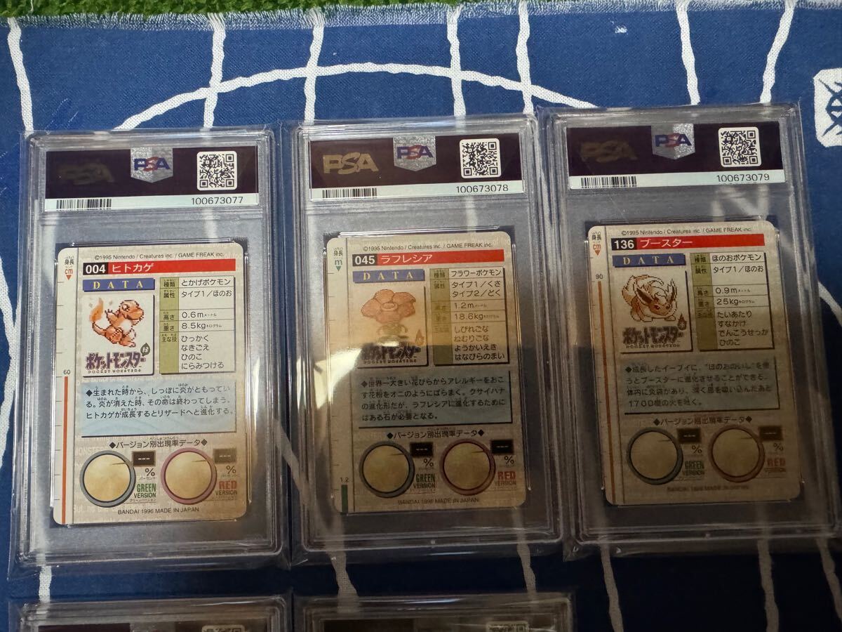 ポケモン カードダス 緑 バンダイ まとめ pokemon BANDAI ポケモン カードダス 緑 バンダイ まとめ pokemon BANDAI